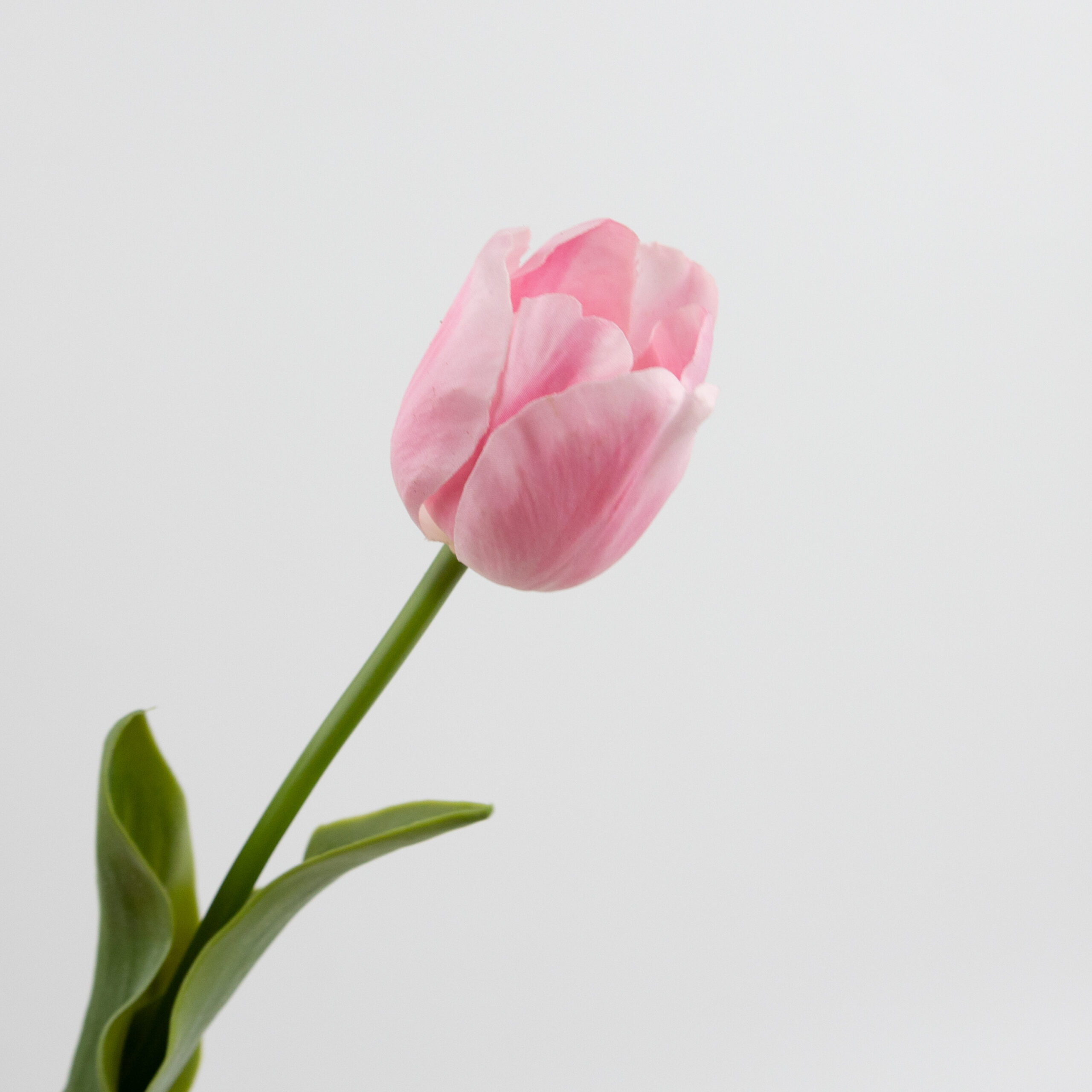 43cm Real-Touch Tulip Stem