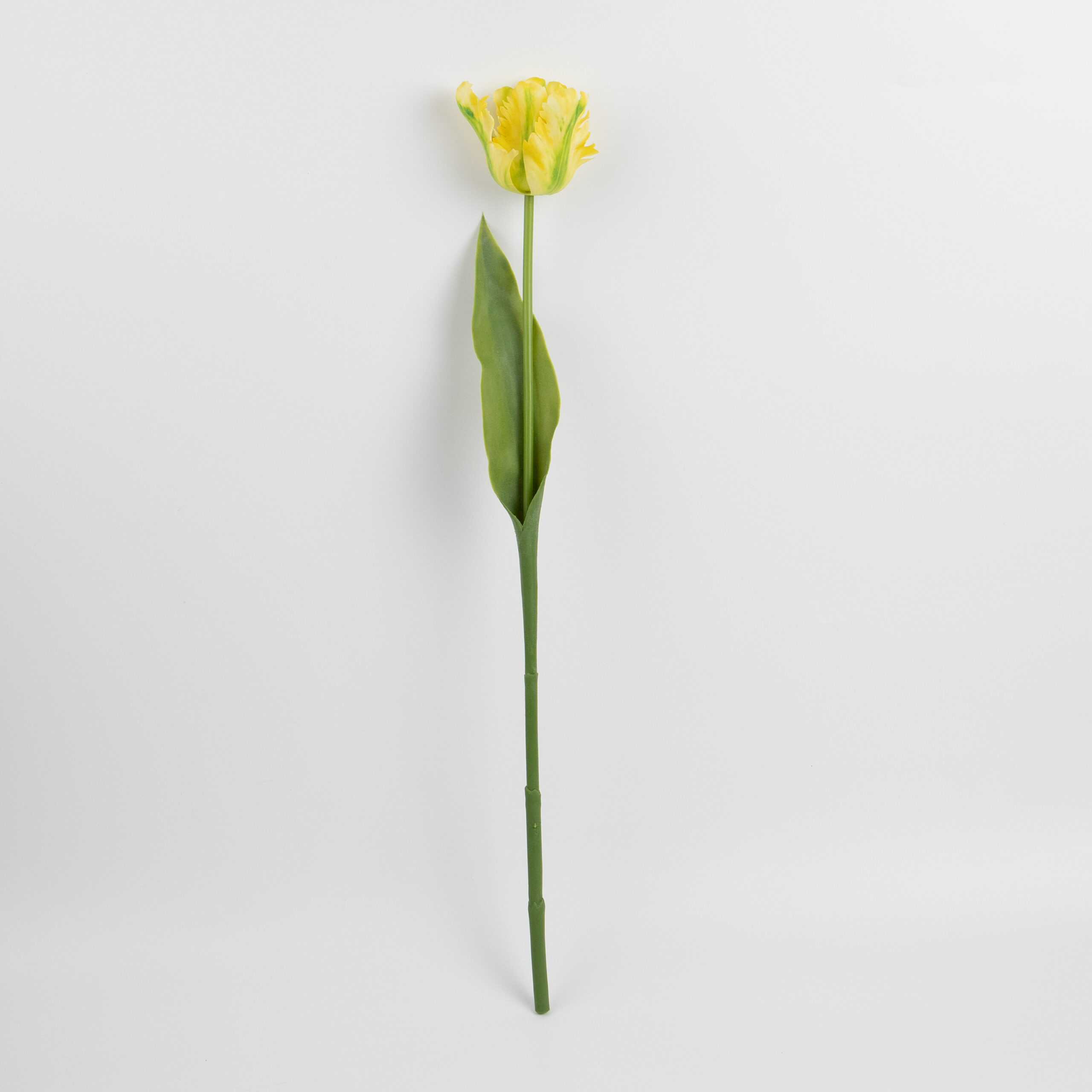 61cm Real-Touch Parrot Tulip Stem
