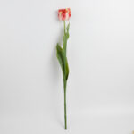 70cm Real-Touch Parrot Tulip Stem