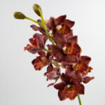 97cm Real-Touch 11 Heads Cymbidium Orchid Stem