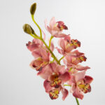 97cm Real-Touch 11 Heads Cymbidium Orchid Stem
