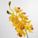 97cm Real-Touch 11 Heads Cymbidium Orchid Stem