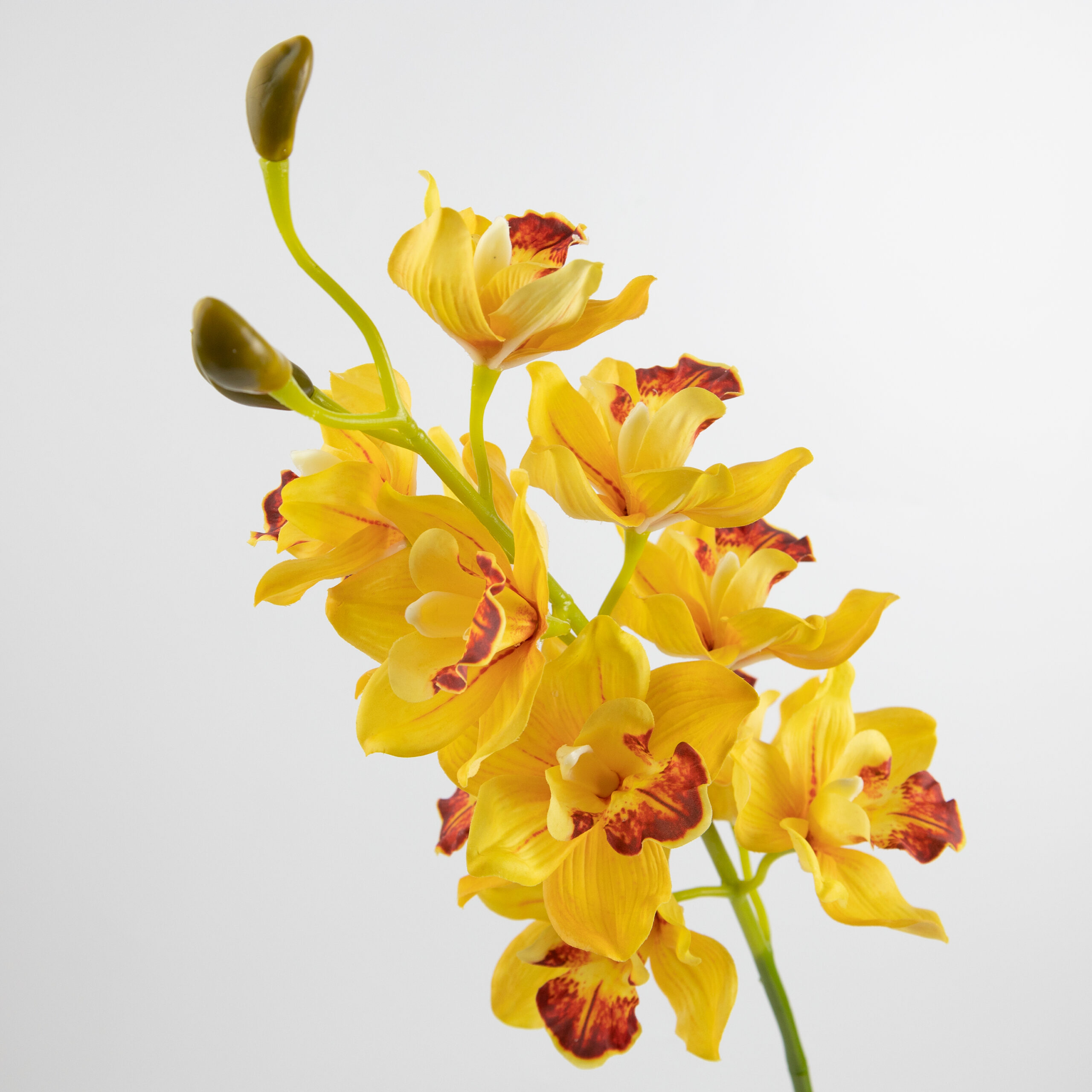 97cm Real-Touch 11 Heads Cymbidium Orchid Stem