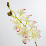 97cm Real-Touch 11 Heads Cymbidium Orchid Stem