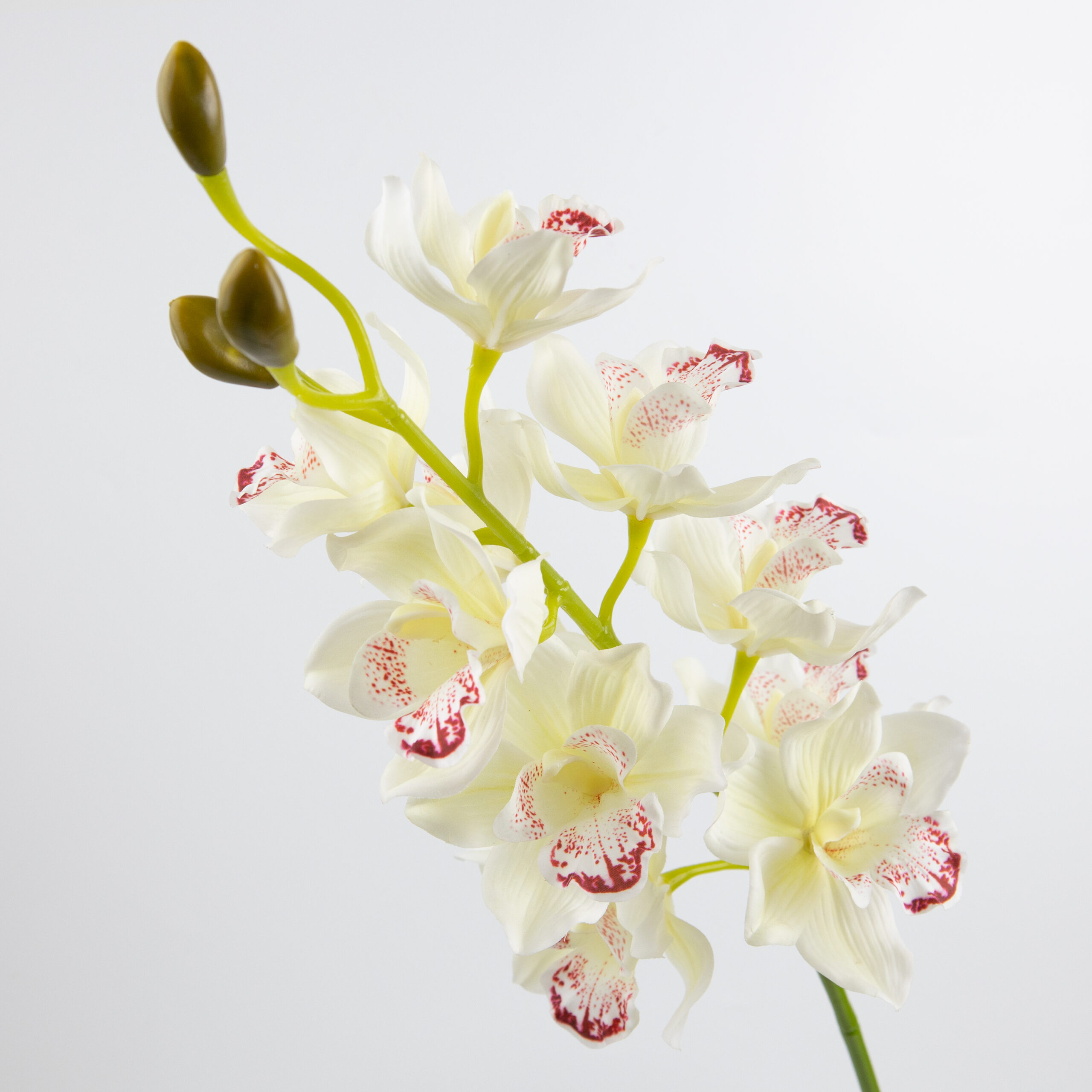97cm Real-Touch 11 Heads Cymbidium Orchid Stem