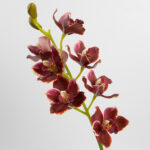 69cm Real-Touch 9 Heads Cymbidium Orchid Stem