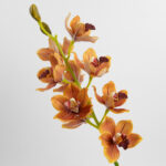 69cm Real-Touch 9 Heads Cymbidium Orchid Stem