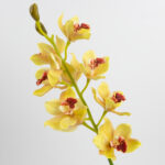 69cm Real-Touch 9 Heads Cymbidium Orchid Stem