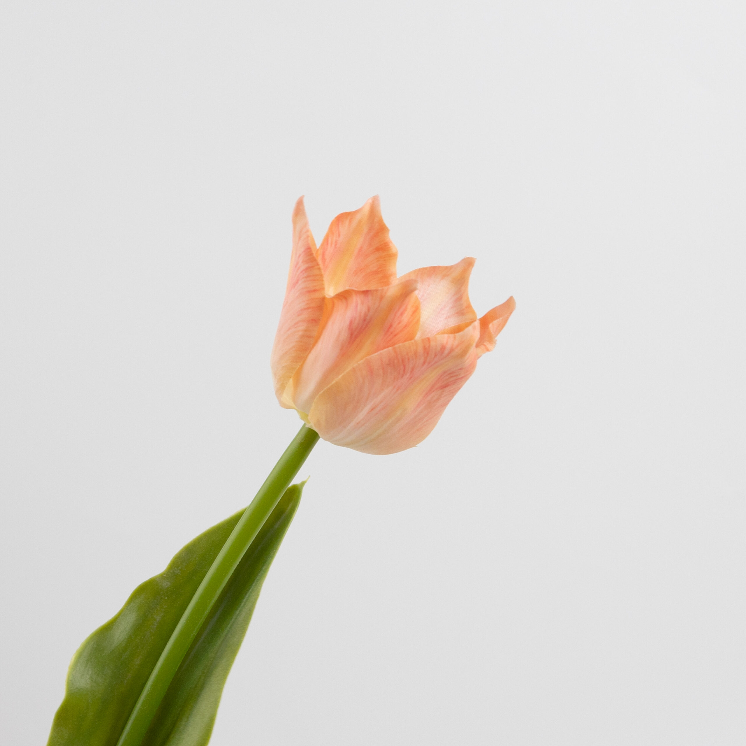 43cm Real-Touch Tulip Stem