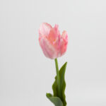 50cm Real-Touch Tulip Stem