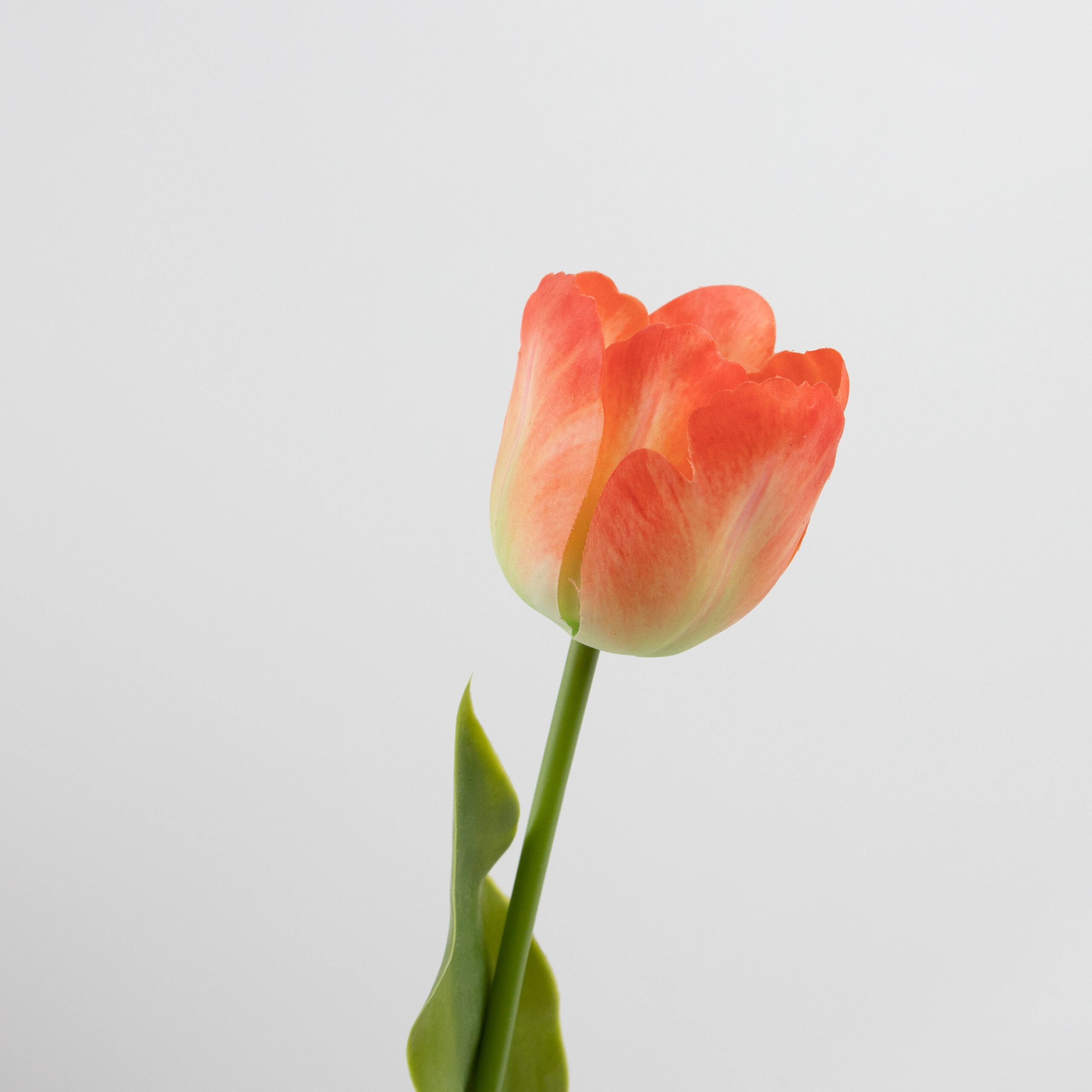 61cm Real-Touch Tulip Stem