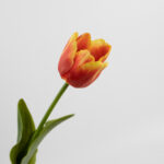 43cm Real-Touch Tulip Stem