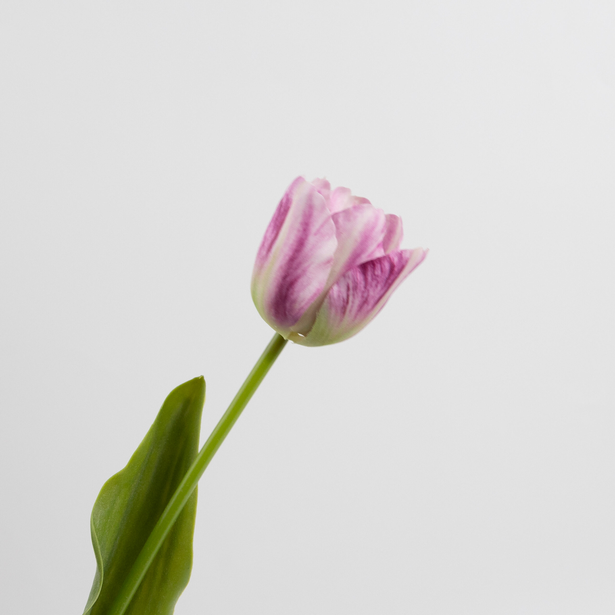 43cm Real-Touch Tulip Stem