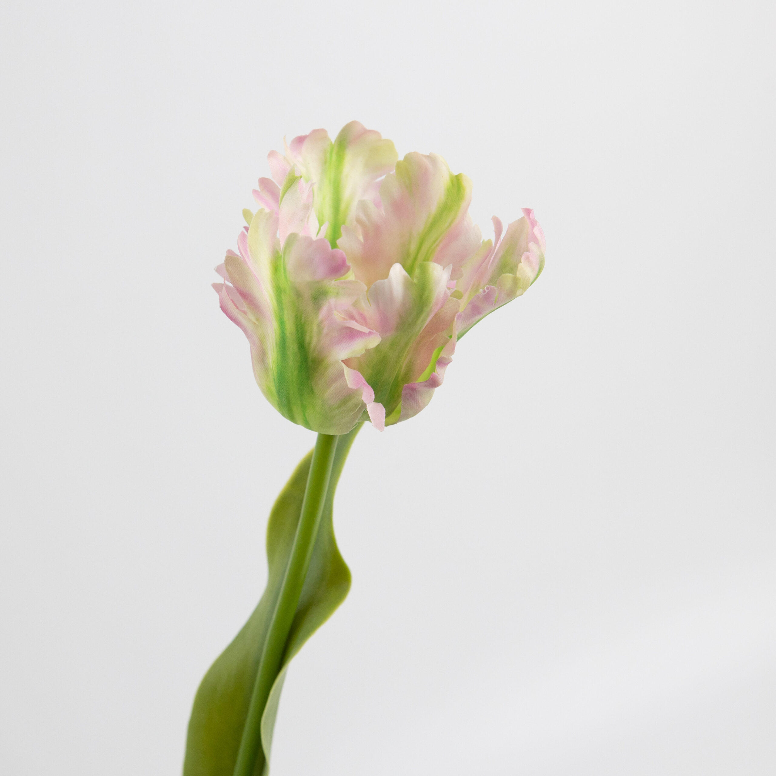 61cm Real-Touch Parrot Tulip Stem