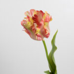 70cm Real-Touch Parrot Tulip Stem