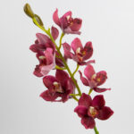 69cm Real-Touch 9 Heads Cymbidium Orchid Stem