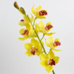 69cm Real-Touch 9 Heads Cymbidium Orchid Stem