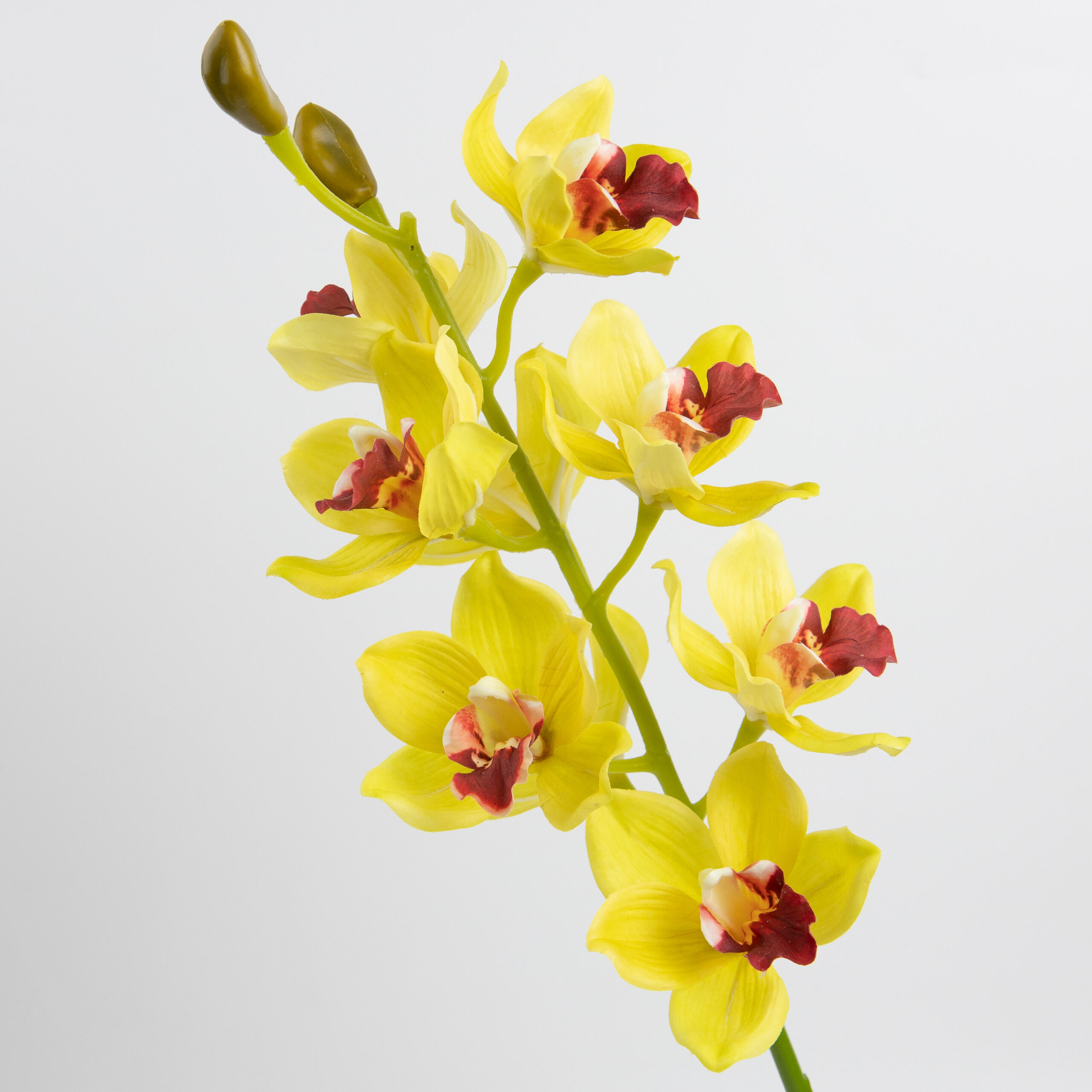 69cm Real-Touch 9 Heads Cymbidium Orchid Stem