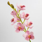 69cm Real-Touch 9 Heads Cymbidium Orchid Stem
