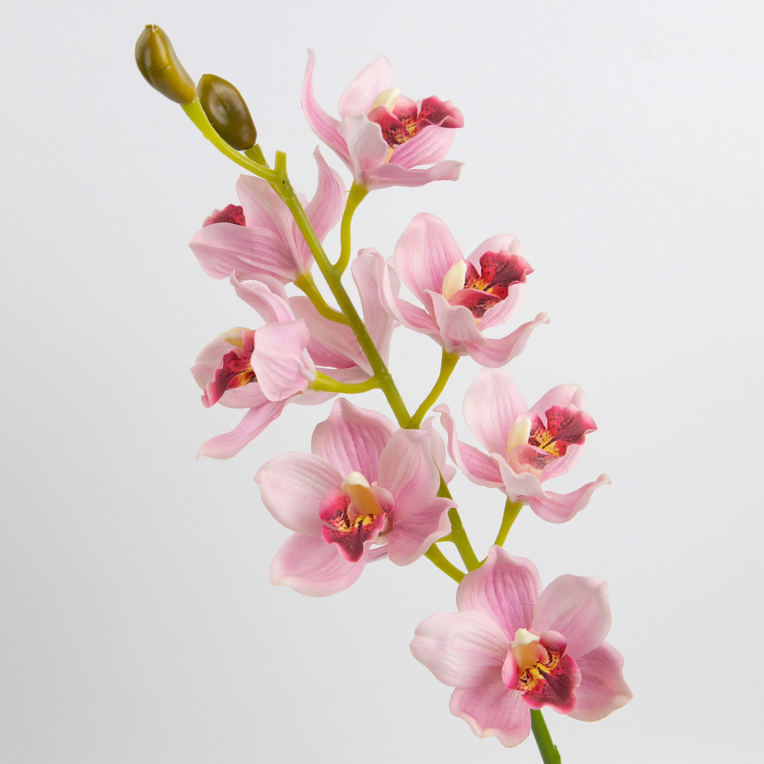 69cm Real-Touch 9 Heads Cymbidium Orchid Stem