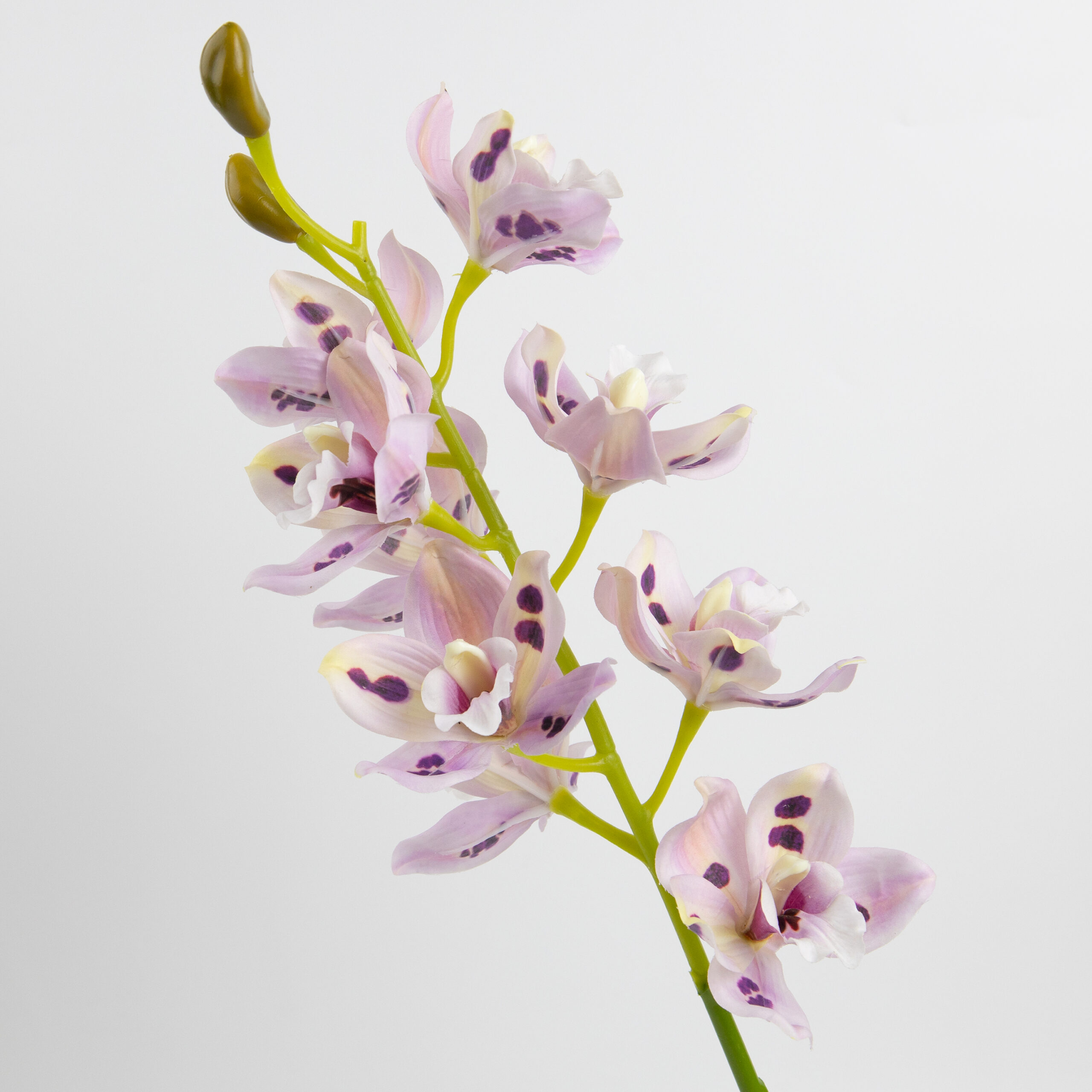 69cm Real-Touch 9 Heads Cymbidium Orchid Stem
