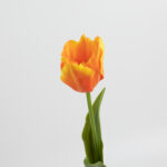 50cm Real-Touch Tulip Stem