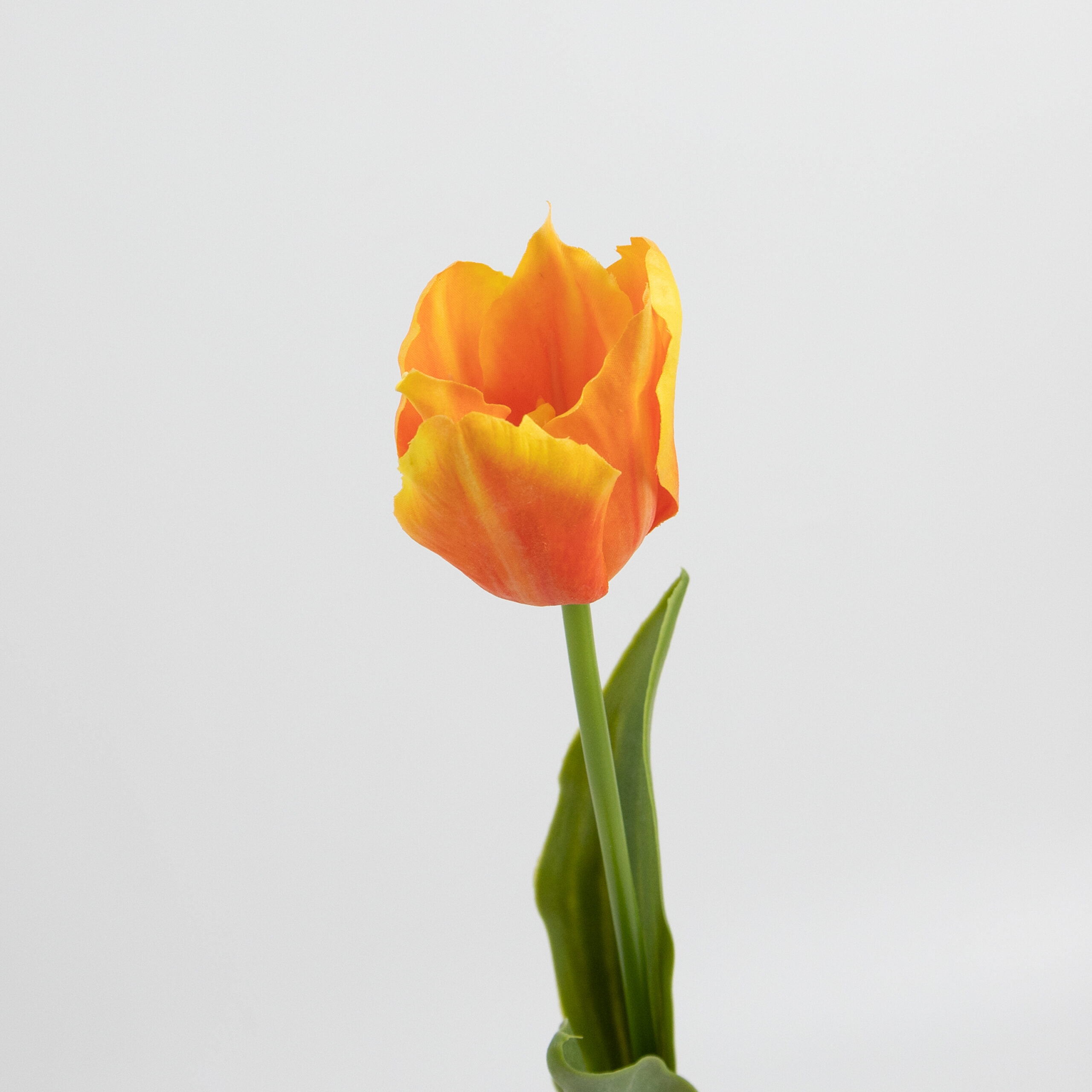 50cm Real-Touch Tulip Stem