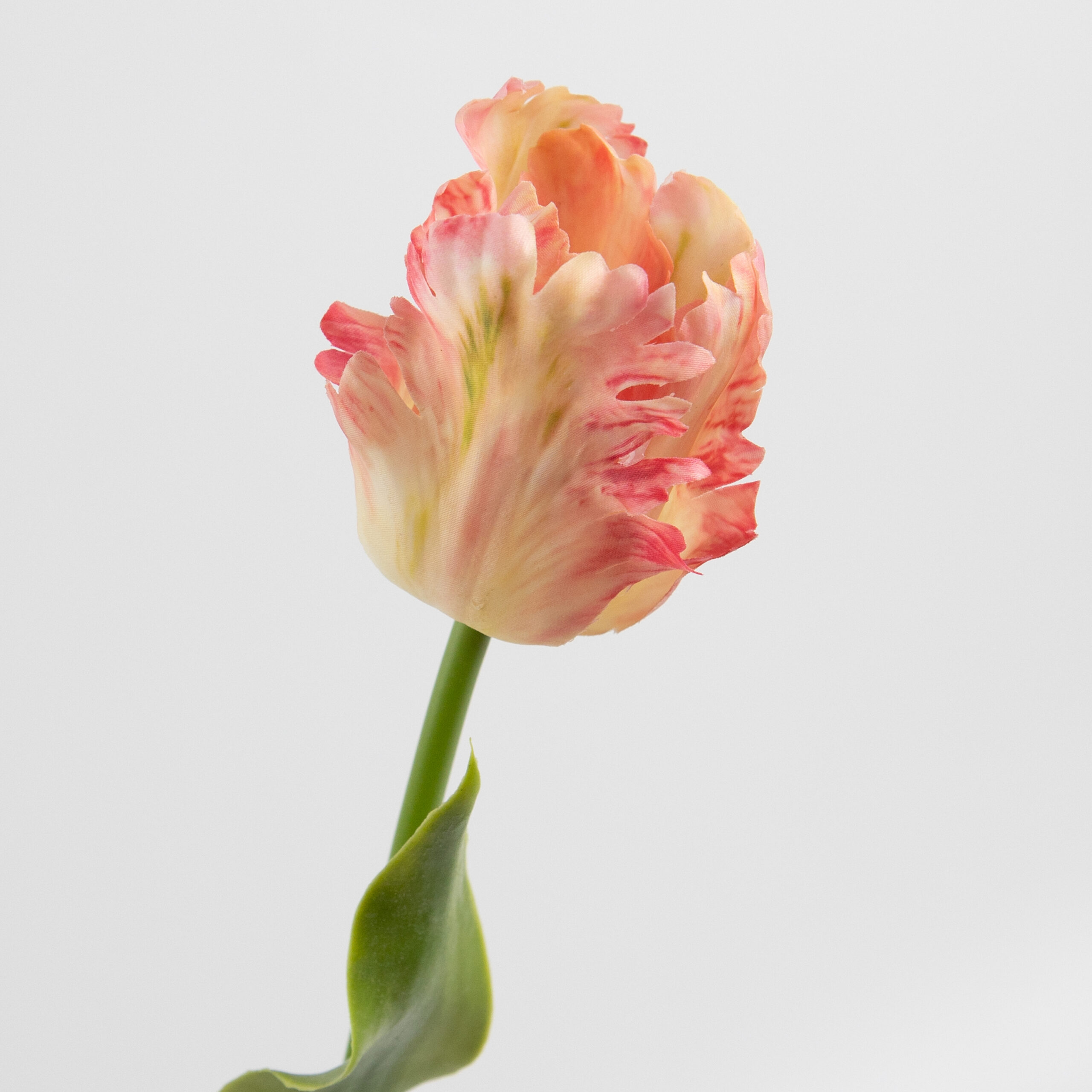 61cm Real-Touch Parrot Tulip Stem