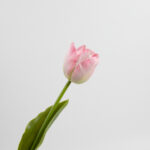 43cm Real-Touch Tulip Stem