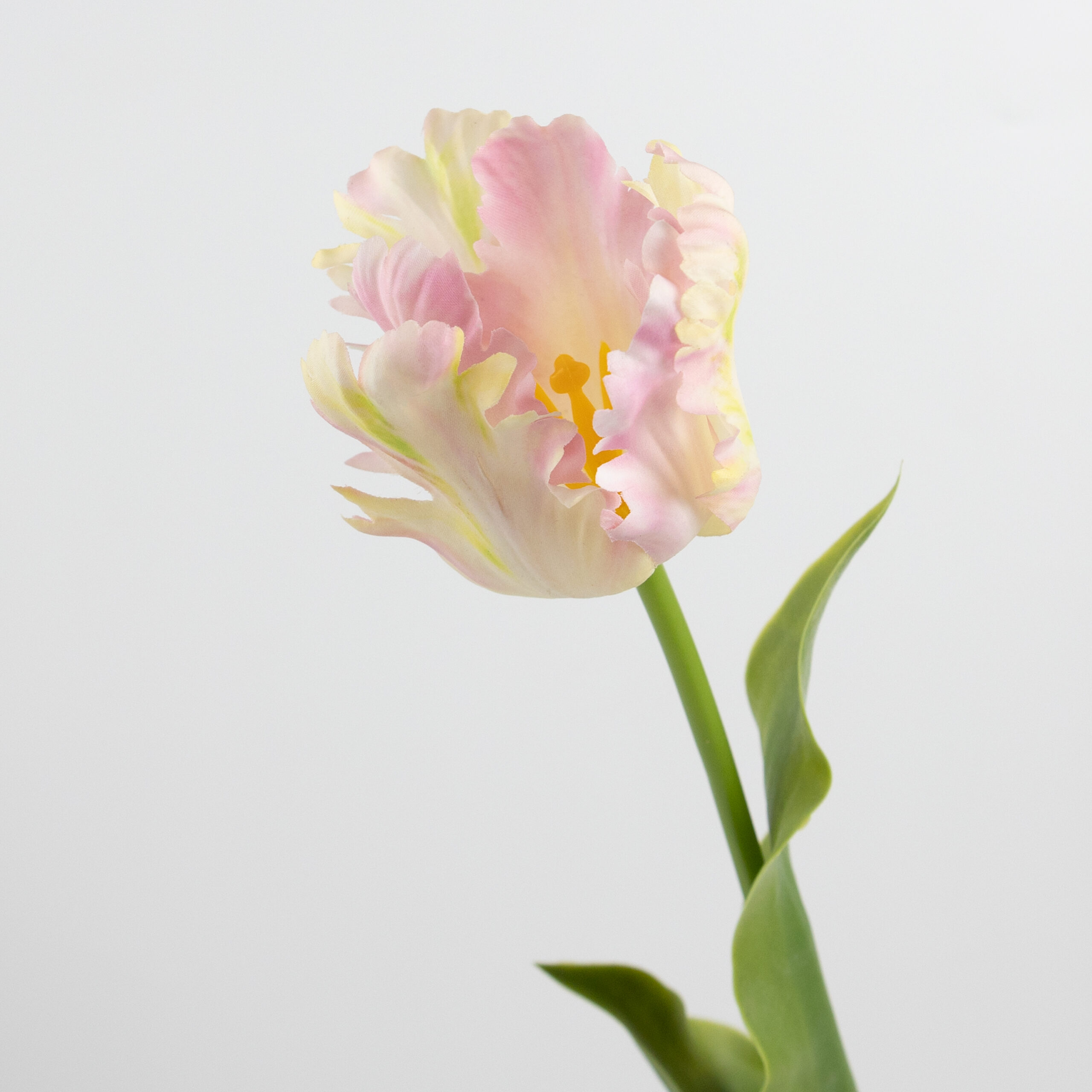 70cm Real-Touch Parrot Tulip Stem