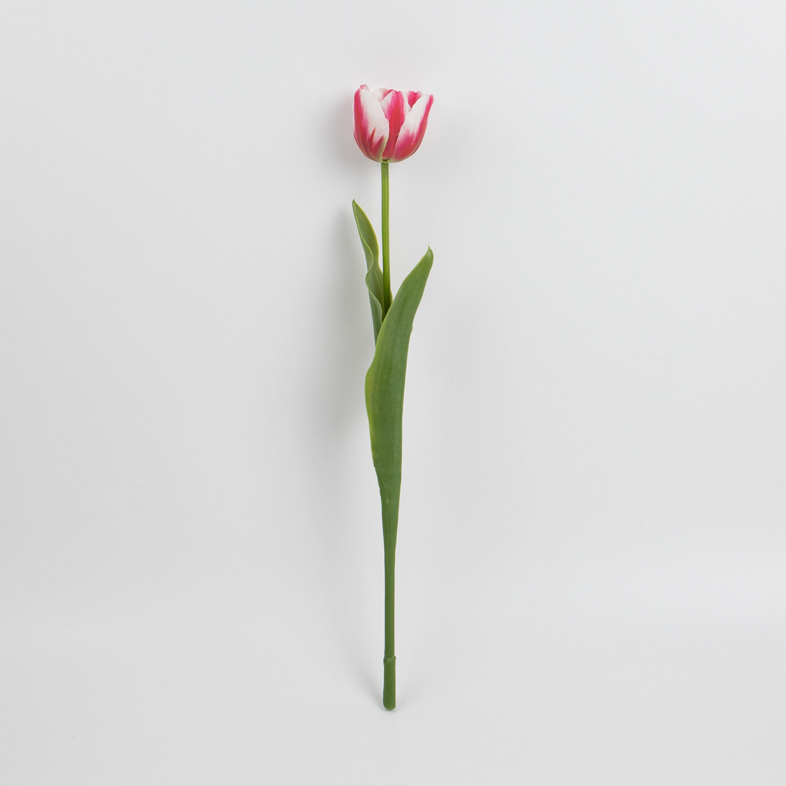 43cm Real-Touch Tulip Stem