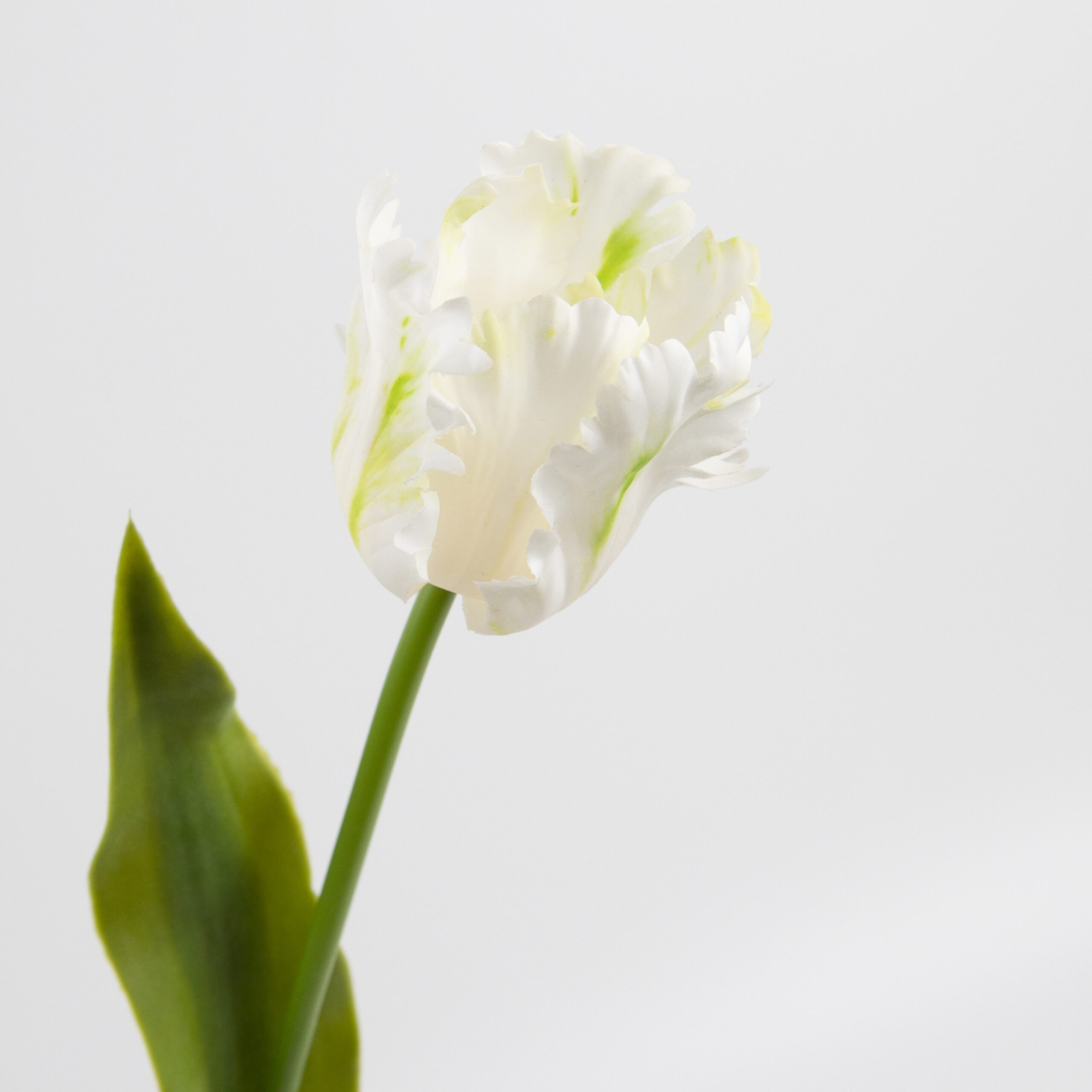 61cm Real-Touch Parrot Tulip Stem