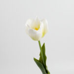 50cm Real-Touch Tulip Stem