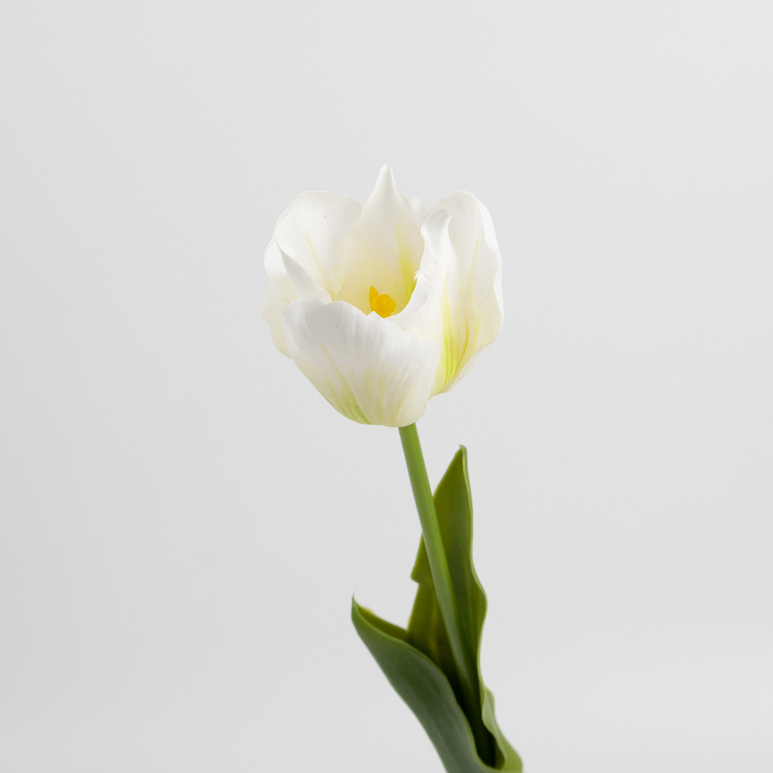 50cm Real-Touch Tulip Stem