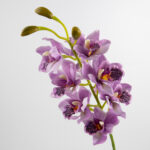 97cm Real-Touch 11 Heads Cymbidium Orchid Stem