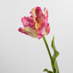 70cm Real-Touch Parrot Tulip Stem