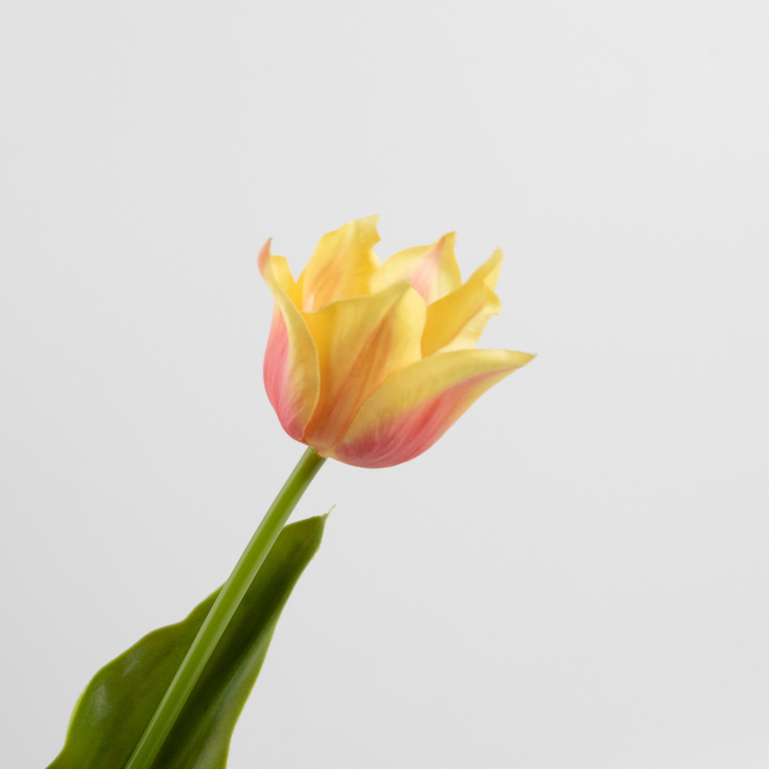43cm Real-Touch Tulip Stem