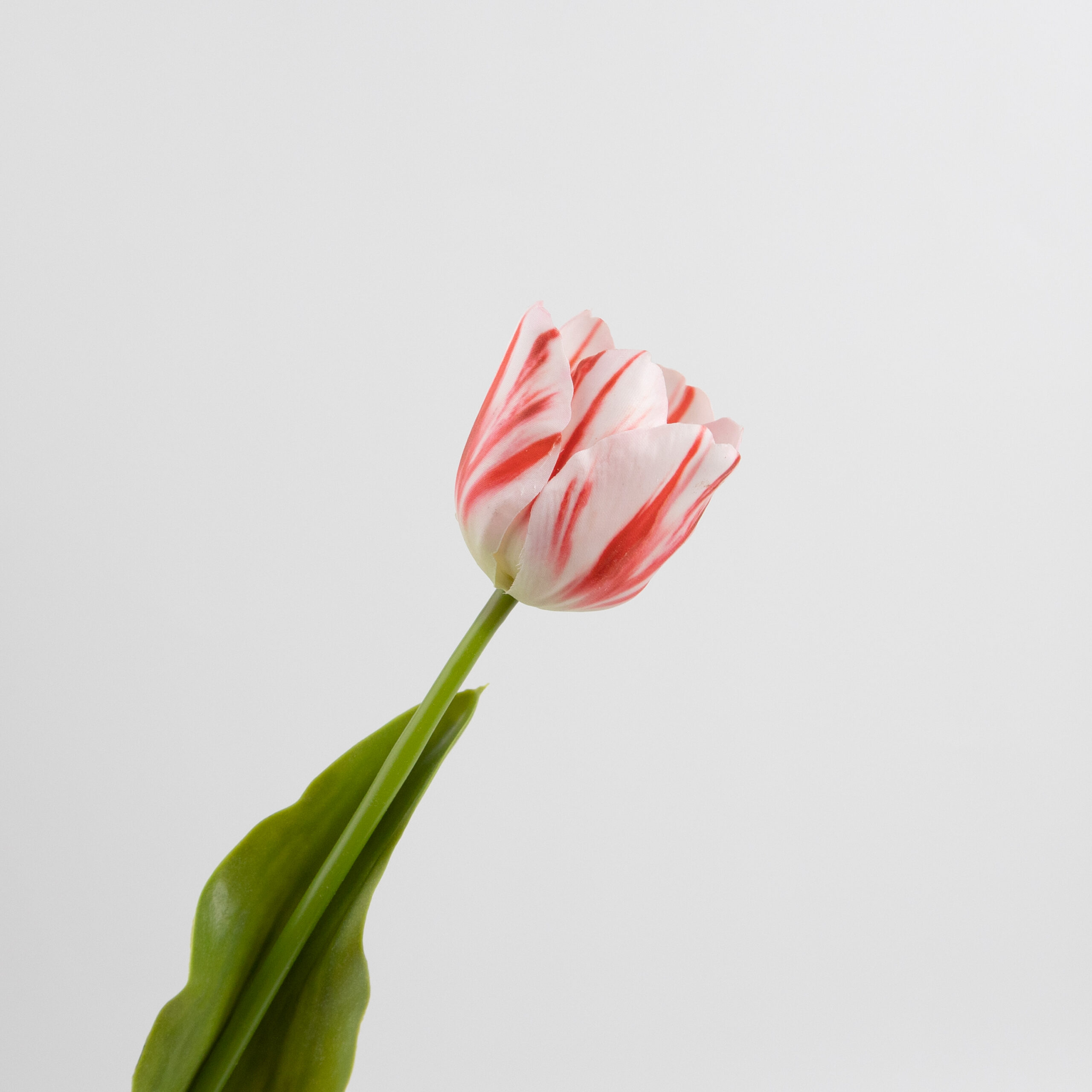 43cm Real-Touch Tulip Stem