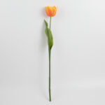 61cm Real-Touch Tulip Stem