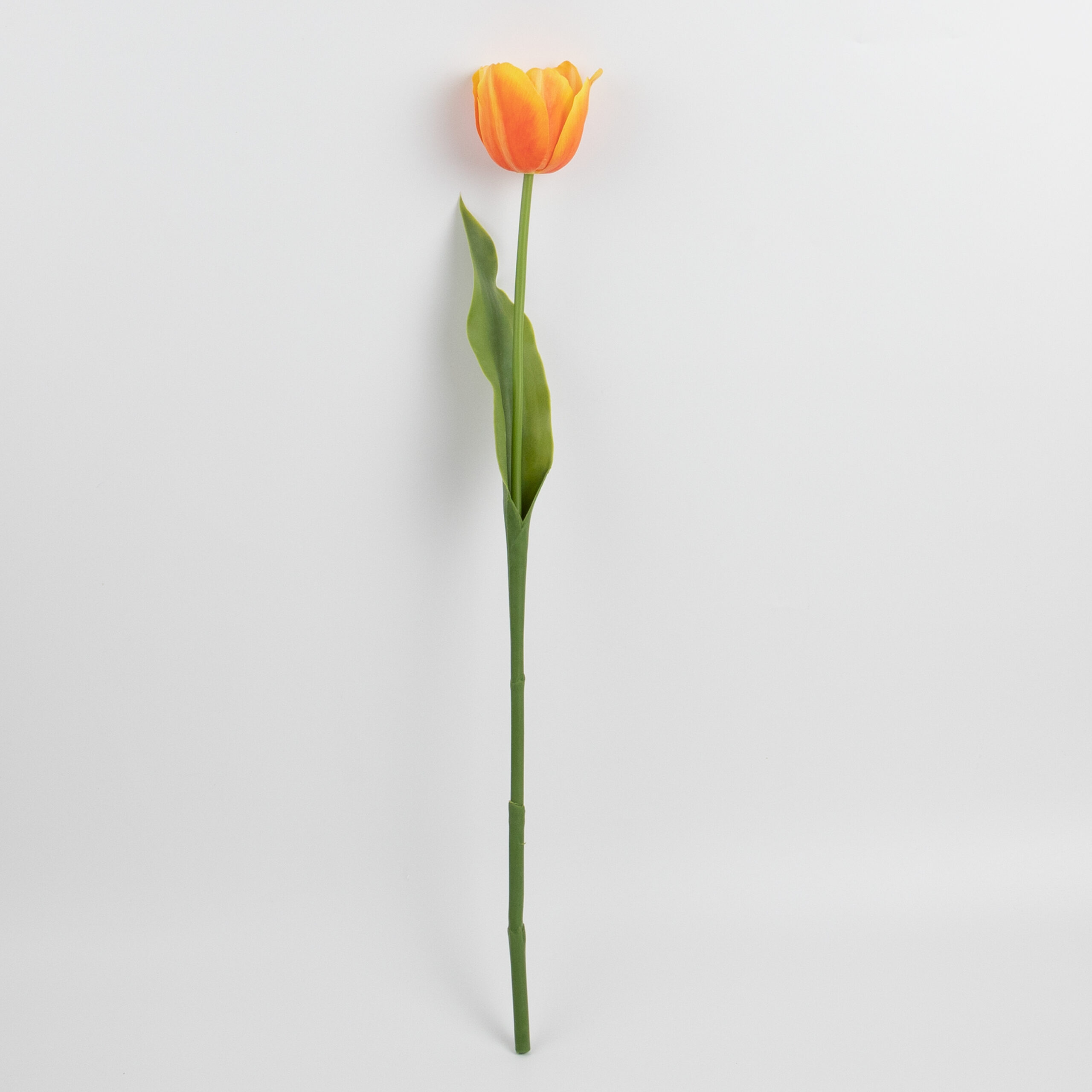 61cm Real-Touch Tulip Stem