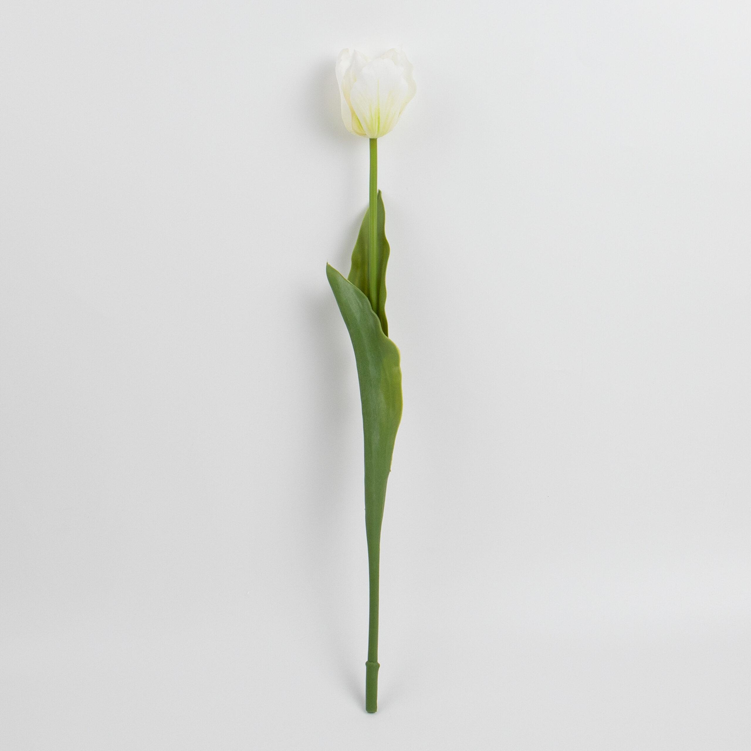 50cm Real-Touch Tulip Stem