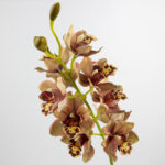97cm Real-Touch 11 Heads Cymbidium Orchid Stem