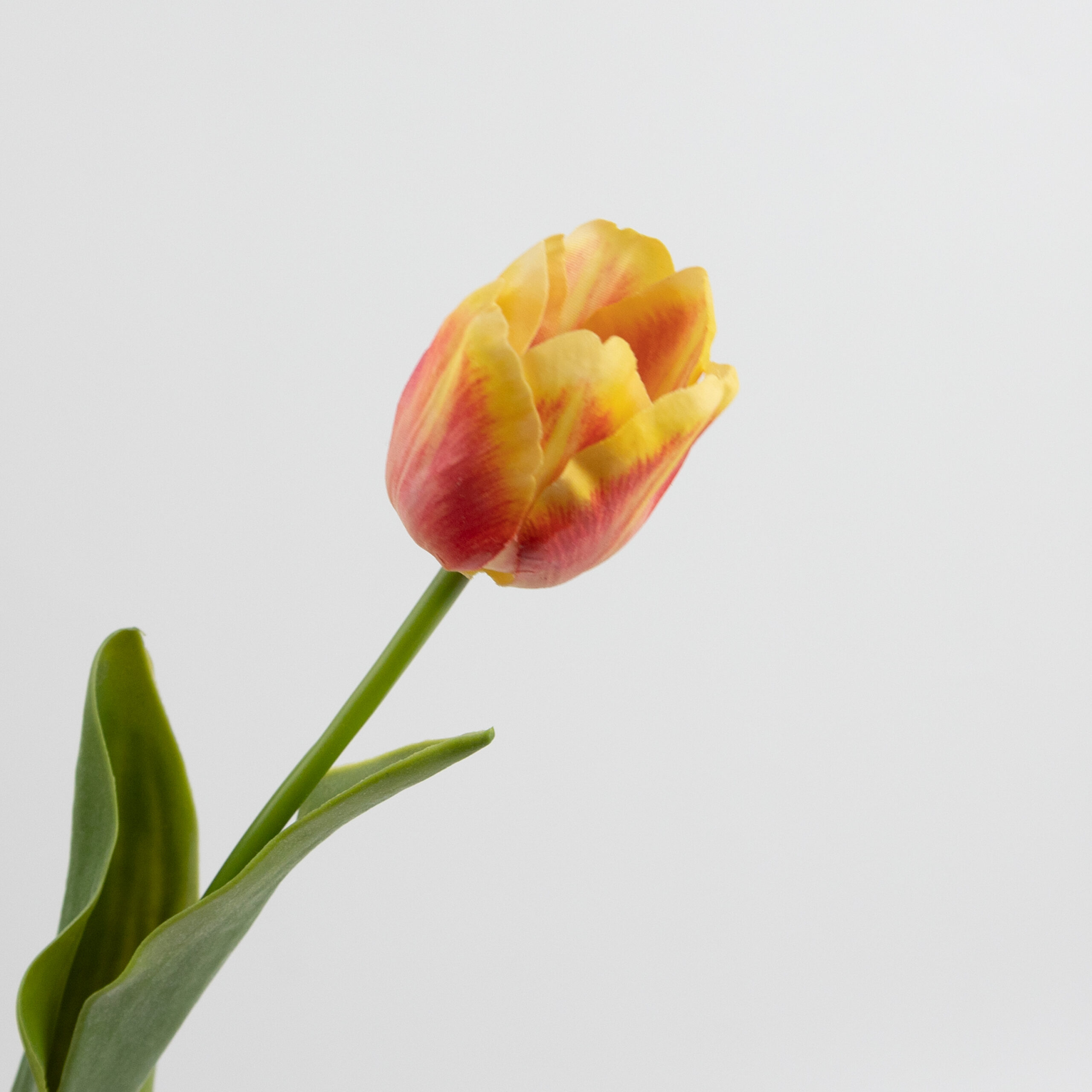 43cm Real-Touch Tulip Stem