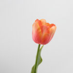 61cm Real-Touch Tulip Stem