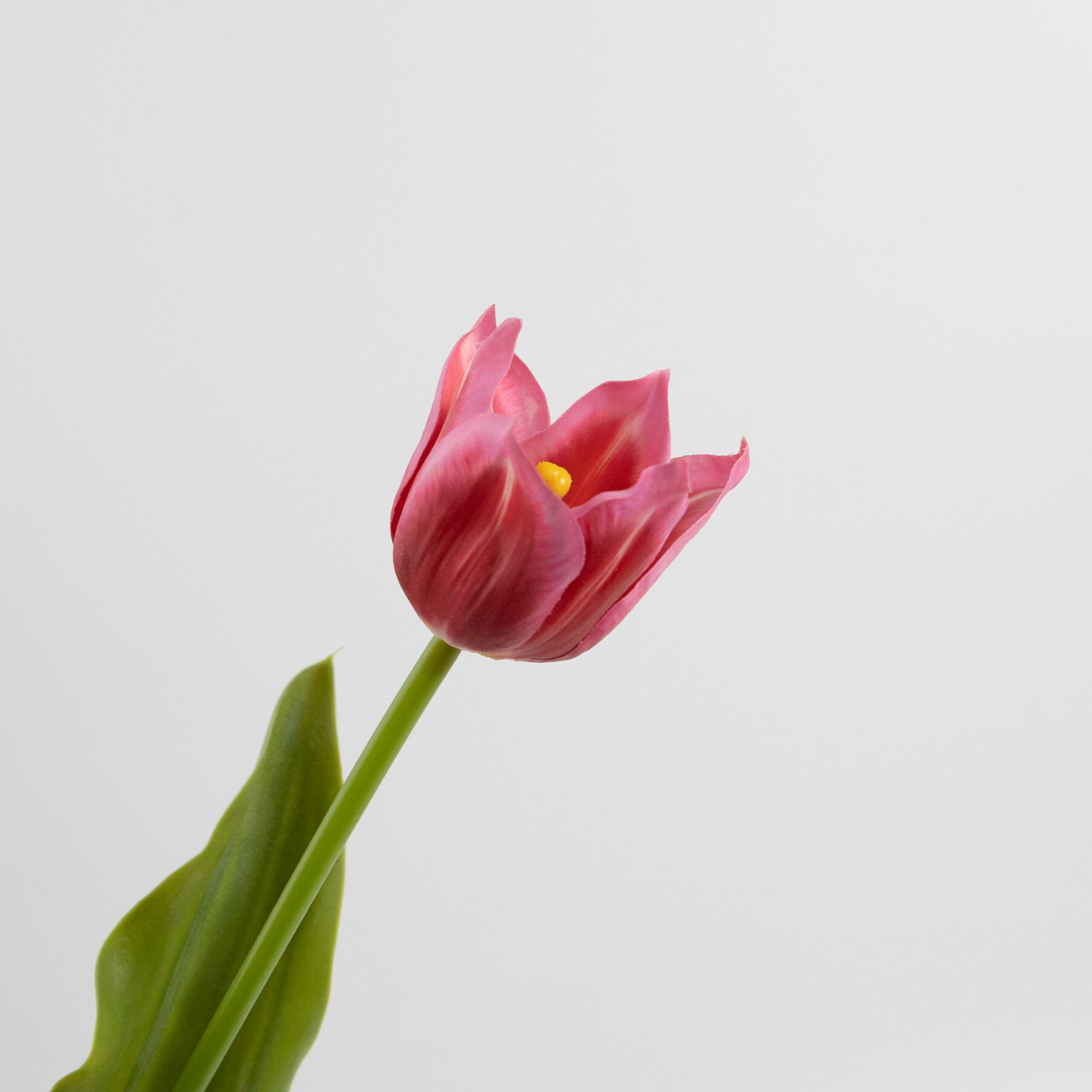 43cm Real-Touch Tulip Stem