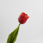 43cm Real-Touch Tulip Stem