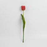 43cm Real-Touch Tulip Stem
