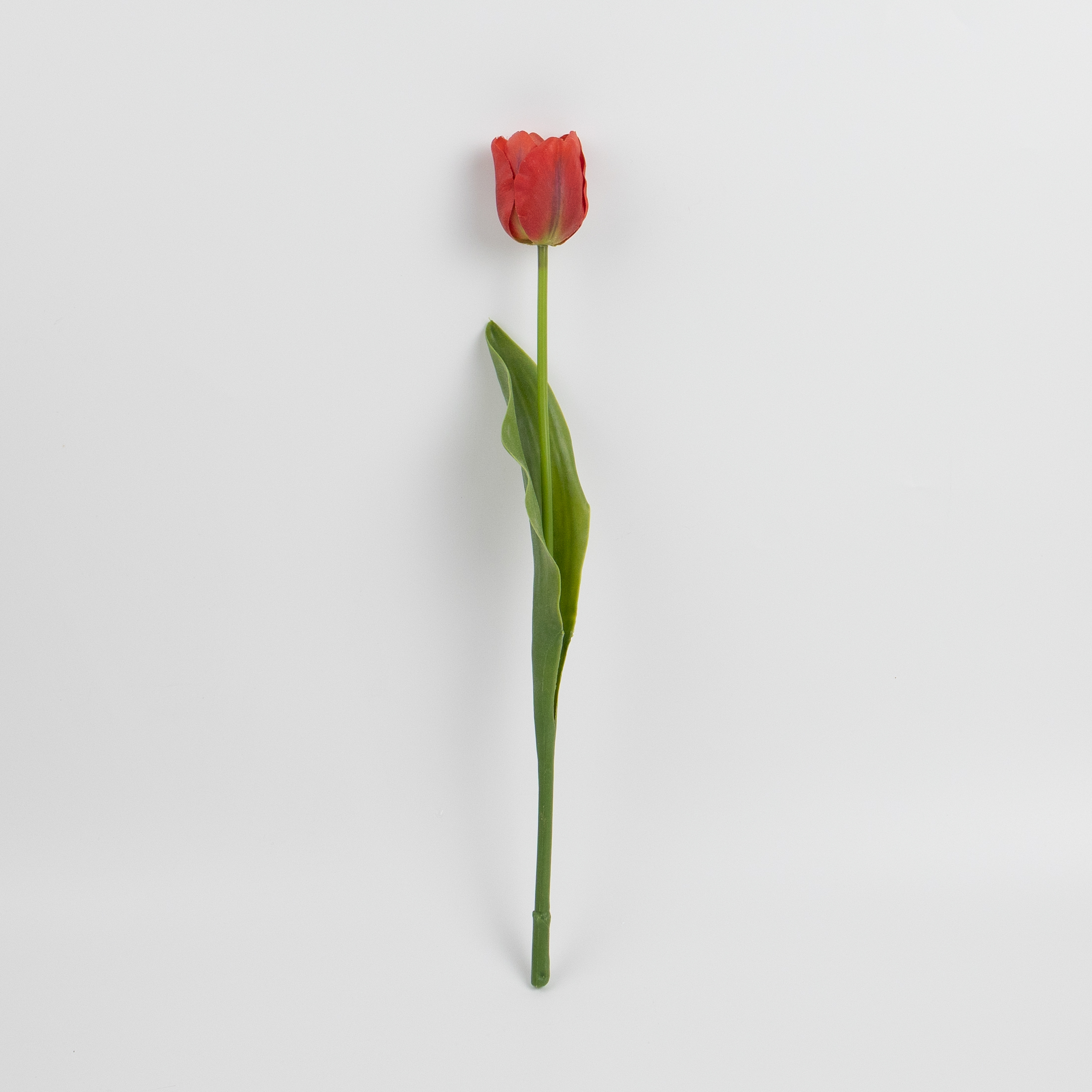 43cm Real-Touch Tulip Stem