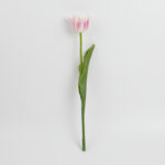 43cm Real-Touch Tulip Stem