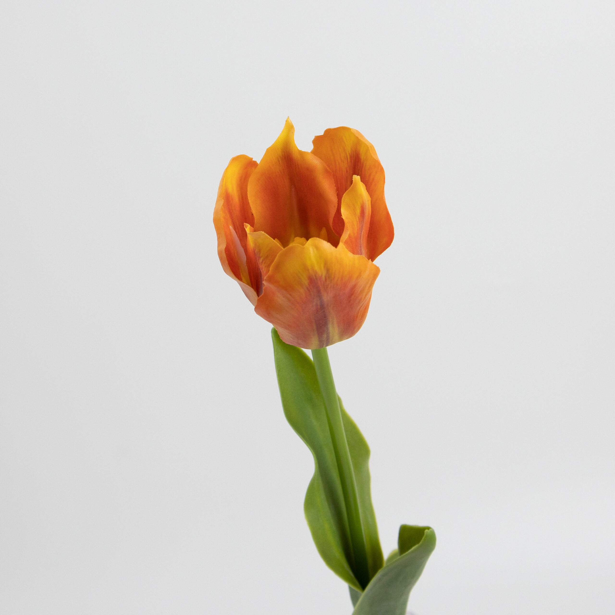 50cm Real-Touch Tulip Stem